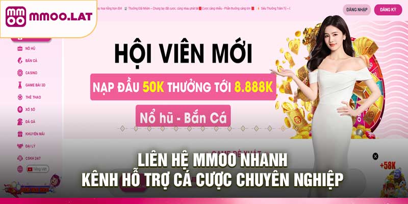 Liên Hệ MMOO Nhanh – Kênh Hỗ Trợ Cá Cược Chuyên Nghiệp